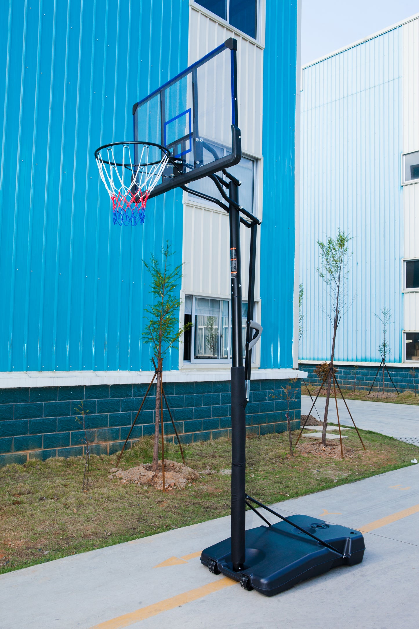 סל כדורסל מקצועי