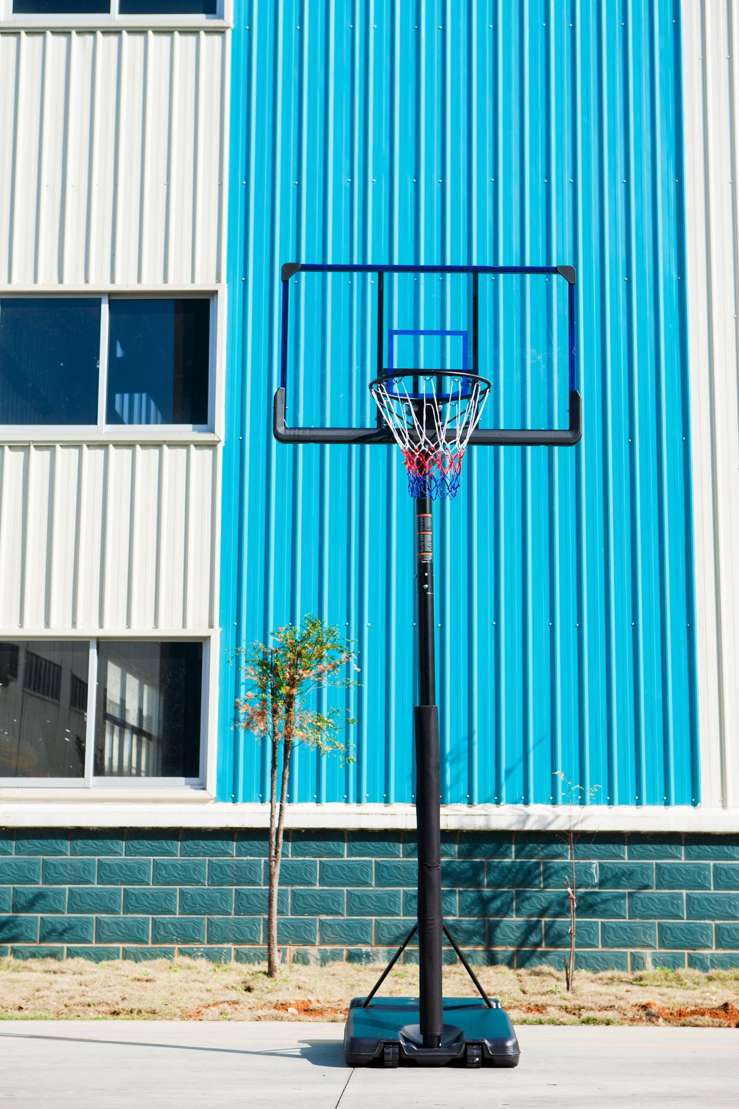 סל כדורסל מקצועי